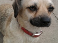 /album/kepgaleria-kezdolap/fenykep0059-jpg/