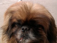 /album/kepgaleria-kezdolap/fenykep0067-jpg/